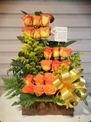 Arreglo 18 rosas primavera R47