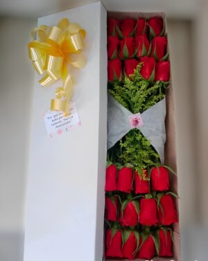 Caja por 24 rosas R54